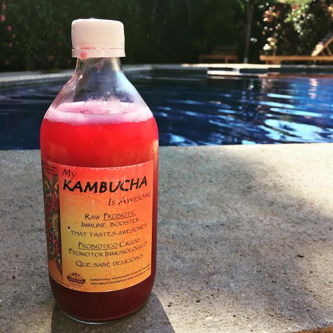 kambucha